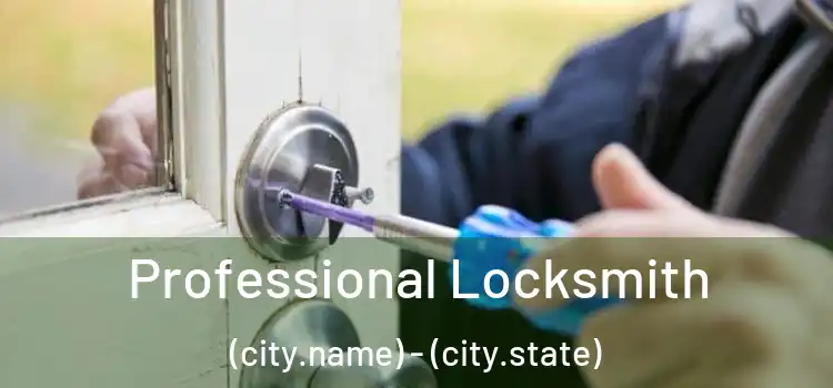 Professional Locksmith (city.name) - (city.state)